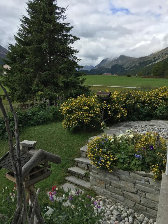 Chesa Suot Ovas Apartman Sils Maria Szoba fotó