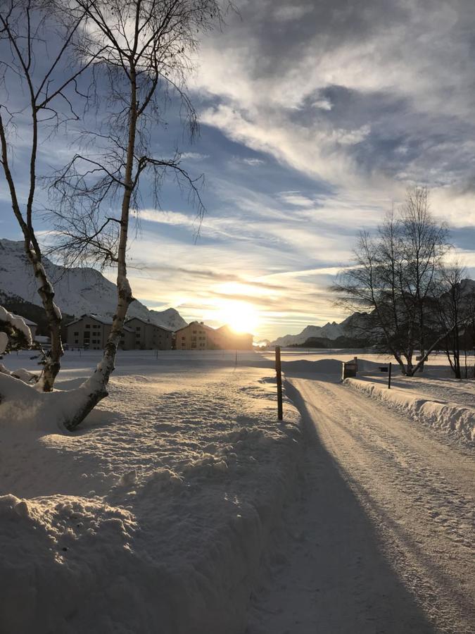 Chesa Suot Ovas Apartman Sils Maria Kültér fotó